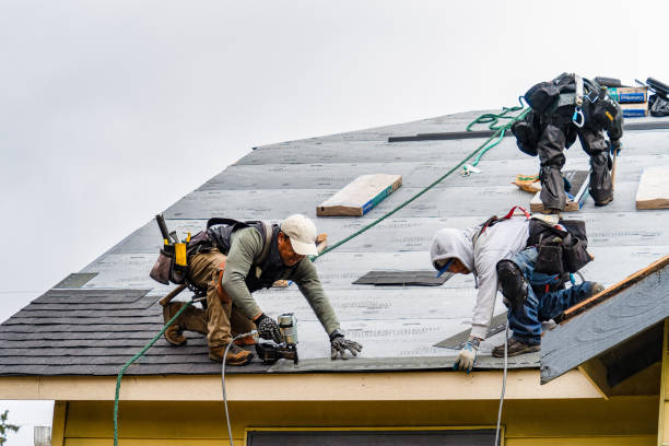 Professional Gutter Installation technician working in Cross Plains, TN